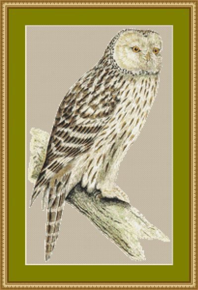 Vintage Owl Cross Stitch